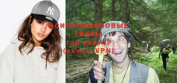 дурь Майский