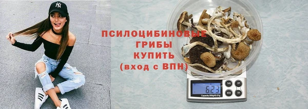 дурь Майский