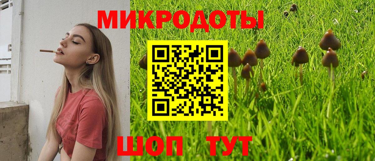 Псилоцибиновые грибы MAGIC MUSHROOMS Октябрьский