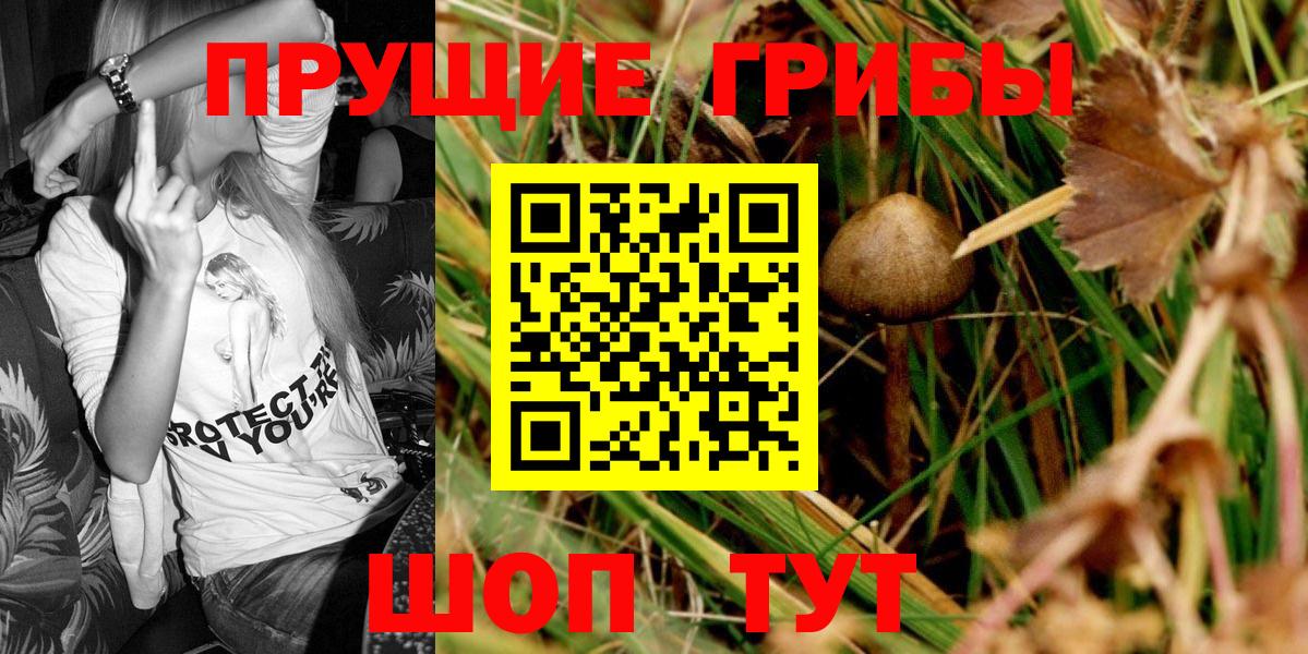 Псилоцибиновые грибы мицелий  Вход с VPN  Псилоцибиновые грибы Cubensis  Октябрьский 