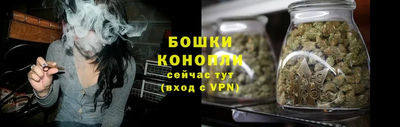 Канабис OG Kush  Октябрьский 