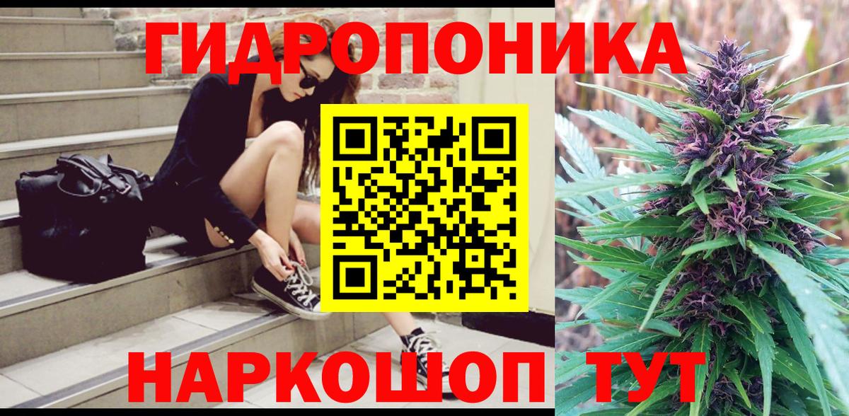 Шишки марихуана White Widow  Конопля планчик  Октябрьский 